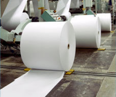 Paper Rolls for Print